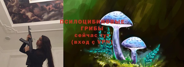 мдма Бородино