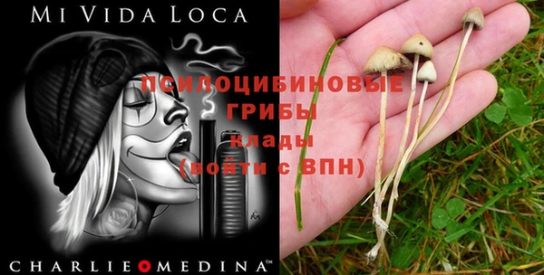 мдма Бородино