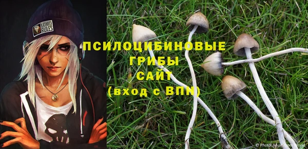 мдма Бородино