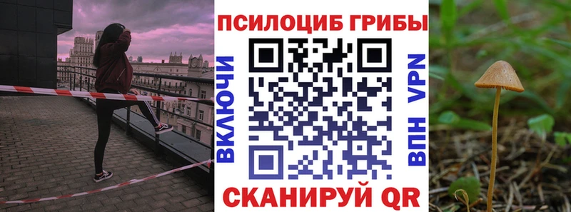 сайты даркнета телеграм  гидра сайт  Южно-Сухокумск  Галлюциногенные грибы Magic Shrooms 